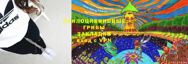 спиды Костерёво