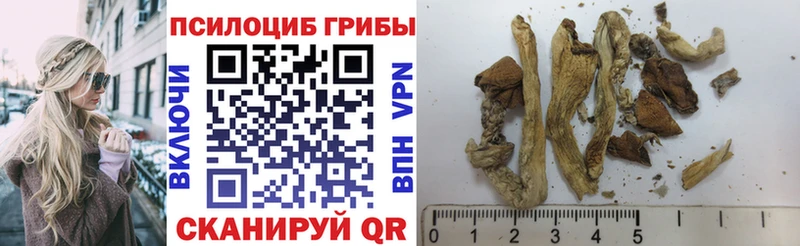 Купить  Касли  Псилоцибиновые грибы мухоморы 